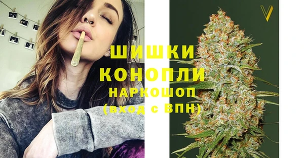 эйфоретик Гусев