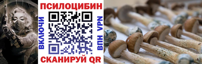 Галлюциногенные грибы Magic Shrooms  Алейск 